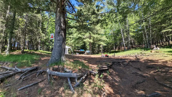 Island Lake Campsite #1 6
