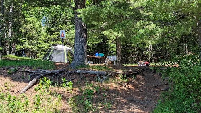 Island Lake Campsite #1 7