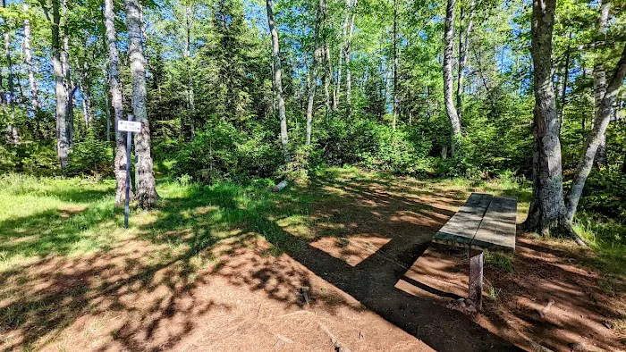 Island Lake Campsite #4 4
