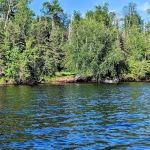 Island Lake Campsite #3