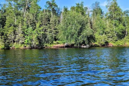 Island Lake Campsite #3