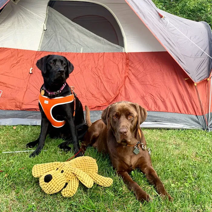 Saginaw Campground 9