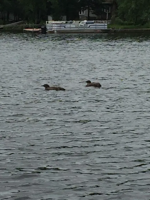 Island Lake Campground 3
