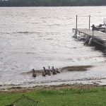 Island Lake Campground