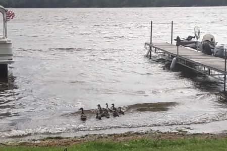 Island Lake Campground