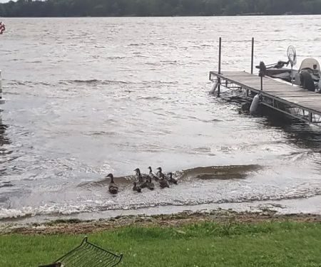 Island Lake Campground