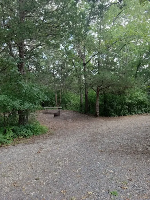Oak Ridge Campground 8