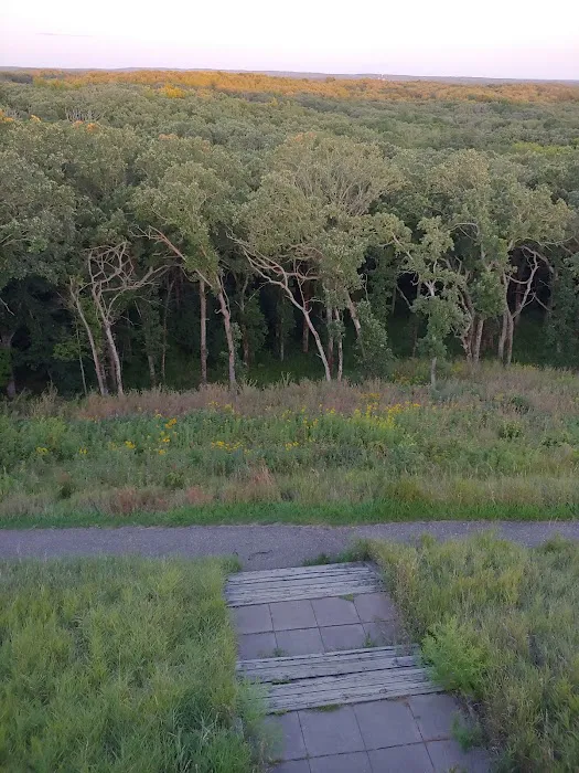 Lakeview Campground 6