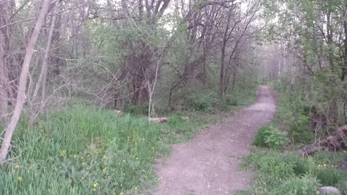 Evergreen Village 5