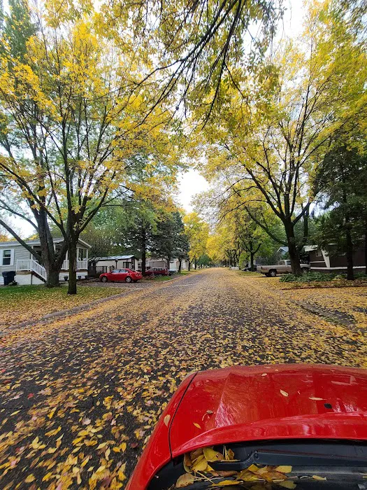 Evergreen Village 7