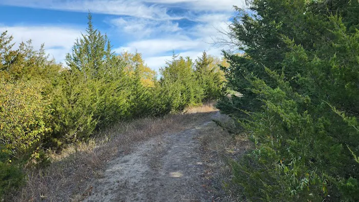 Wagon Train Dam-Site 8 Park 6
