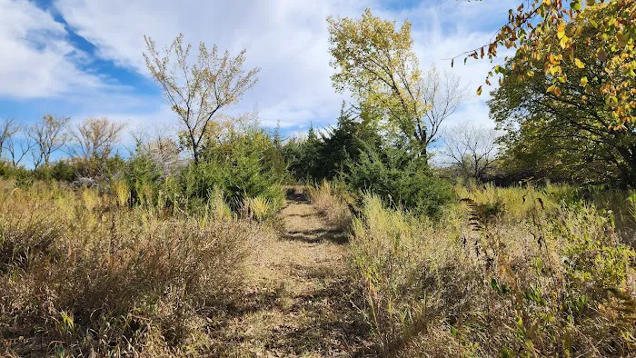 Wagon Train Dam-Site 8 Park 8
