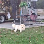 Six Mile Lake Campground