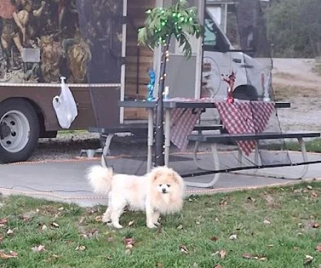 Six Mile Lake Campground