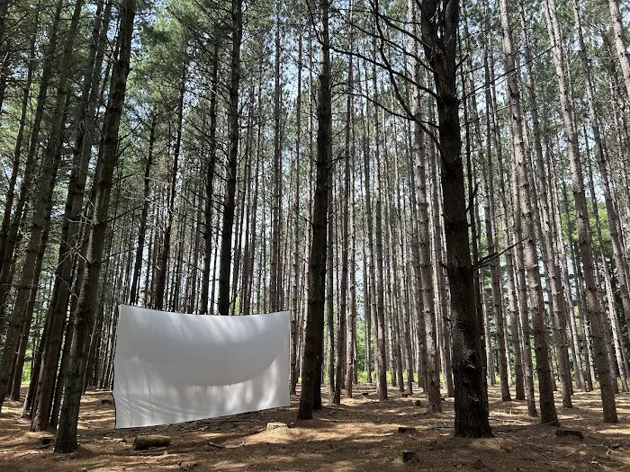 Leelanau Pines Campground 7