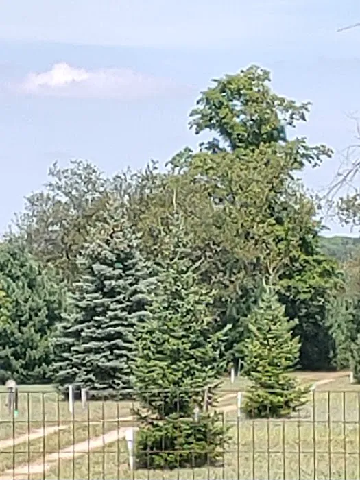Boyne Country RV Park and Campground 1