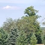 Boyne Country RV Park and Campground