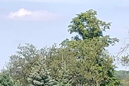 Boyne Country RV Park and Campground