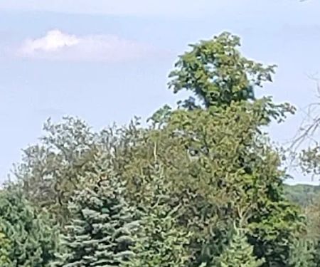 Boyne Country RV Park and Campground