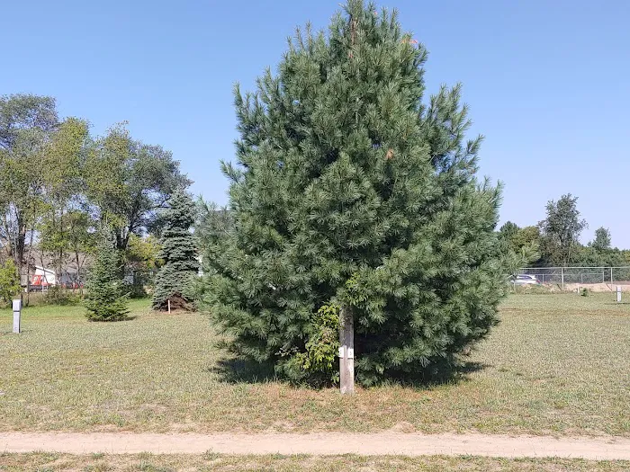 Boyne Country RV Park and Campground 5