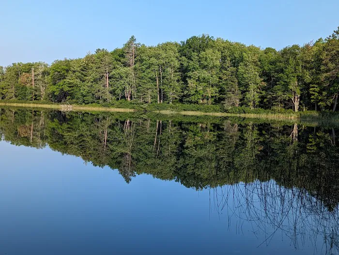 Town Corner Lake State Forest Campground 5