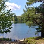 Town Corner Lake State Forest Campground