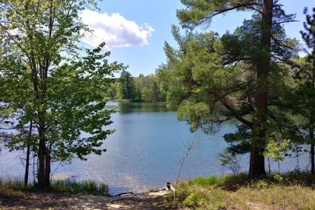 Town Corner Lake State Forest Campground