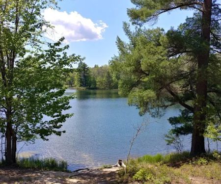 Town Corner Lake State Forest Campground