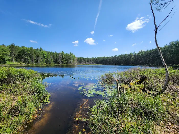 Round Lake State Forest Campground 4
