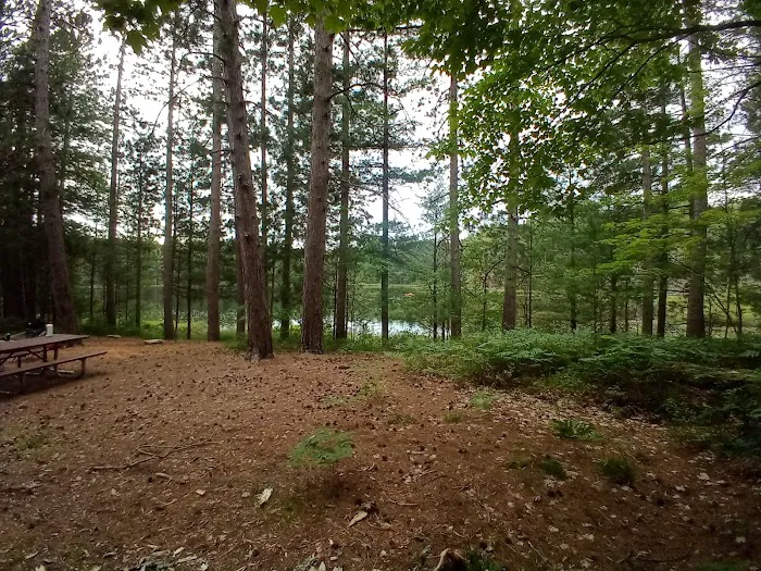 Round Lake State Forest Campground 3