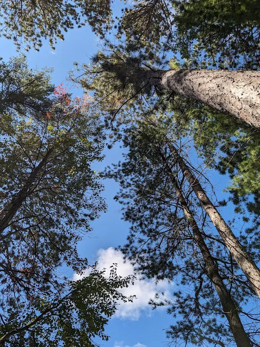 Round Lake State Forest Campground 9