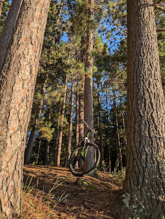 Round Lake State Forest Campground 6
