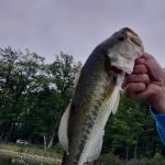 Jackson Lake State Forest Campground