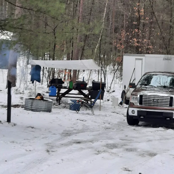 Pigeon Bridge State Forest Campground 1
