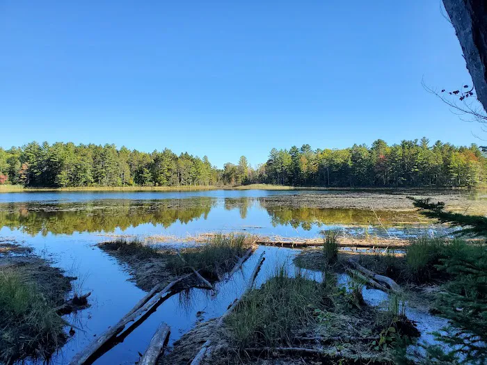 Pigeon Bridge State Forest Campground 8