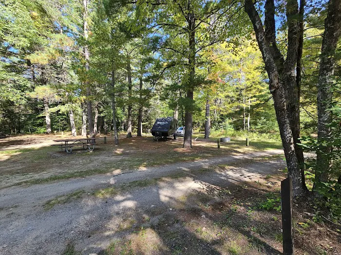 Pigeon Bridge State Forest Campground 4