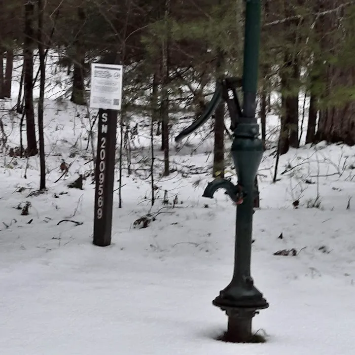 Pigeon Bridge State Forest Campground 2