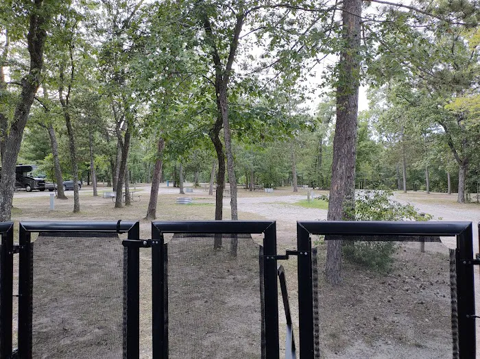 Clear Lake State Campground 9