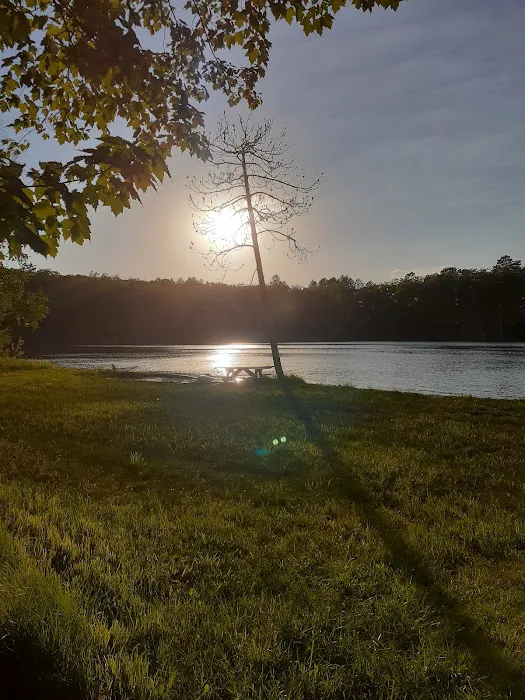 Ess Lake State Forest Campground 3