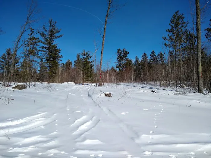 Ess Lake State Forest Campground 2