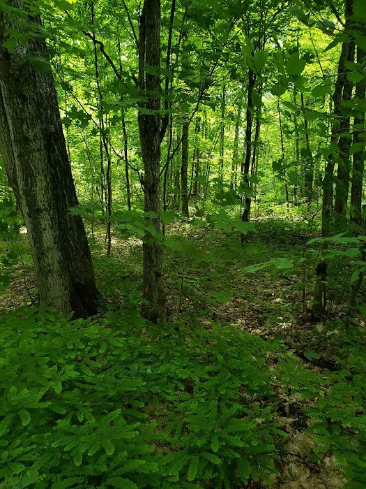 Camp 437, Private Camp 9