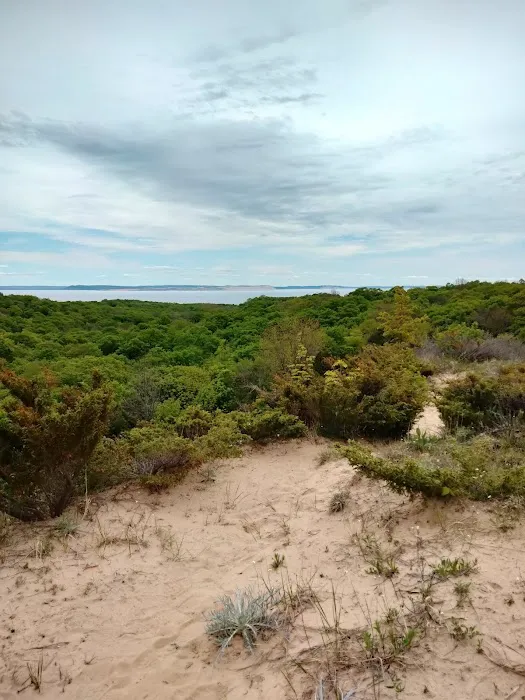 Weather Station Campground 2