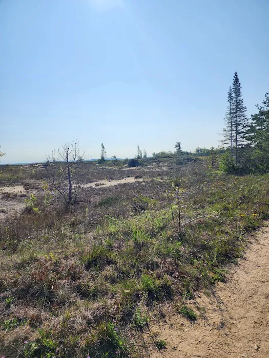 South Manitou Group Campground 3
