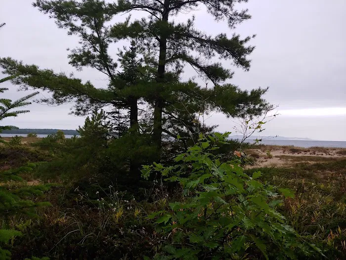 South Manitou Group Campground 6