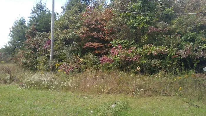 Vinton Furnace State Forest Hunters Camp 4