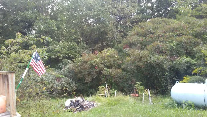 Vinton Furnace State Forest Hunters Camp 7