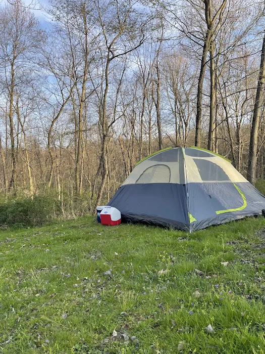 Hidden Hollow Campground 6