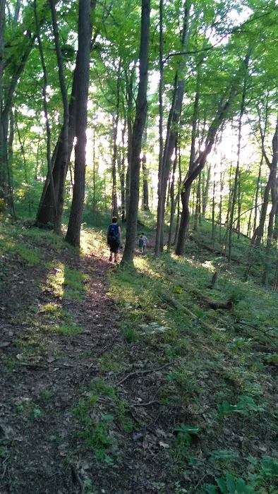 Hidden Hollow Campground 3