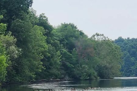 Lake Snowden Campground
