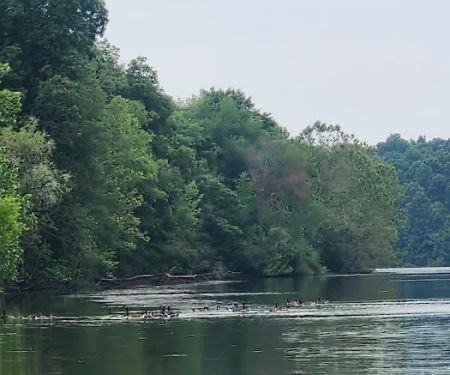 Lake Snowden Campground